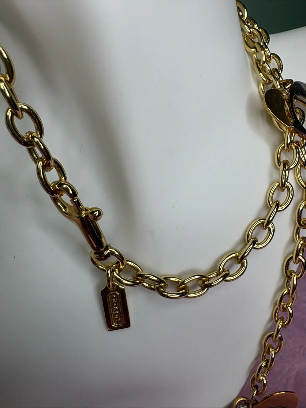 Coach long chain